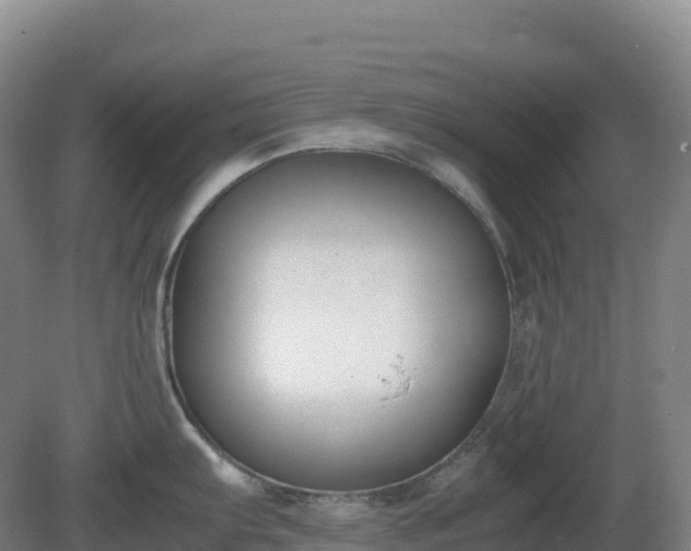 X0000081371103200701182132