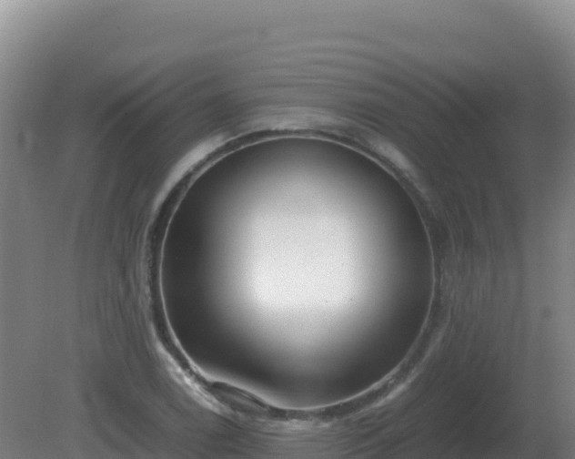 X0000081371122200701182132