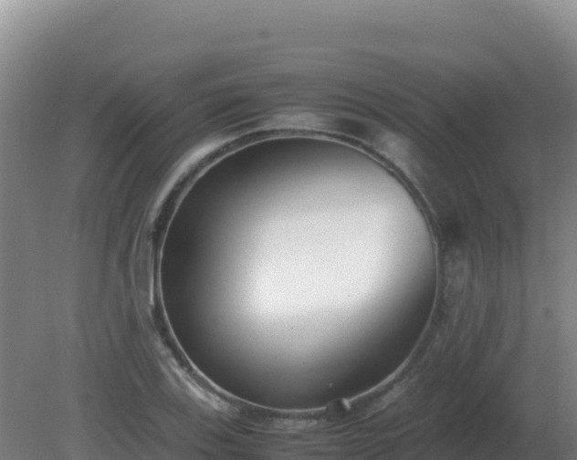 X0000081371123200701182132
