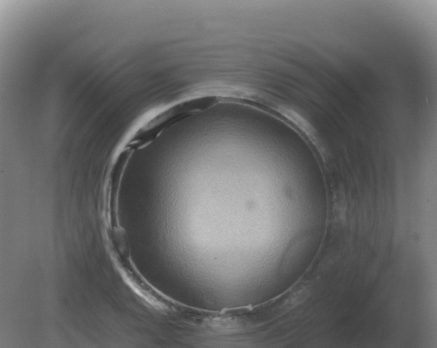 X0000081371128200701182132