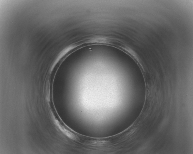 X0000081371131200701182132