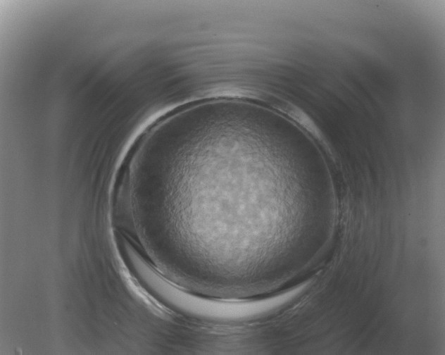 X0000081371132200701182132