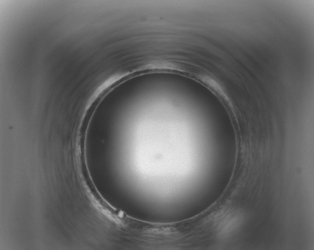 X0000081371133200701182132