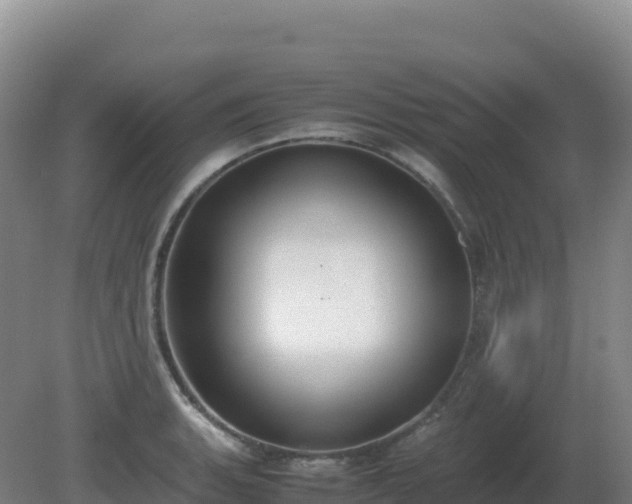 X0000081371135200701182132