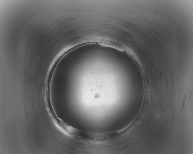 X0000081371136200701182132