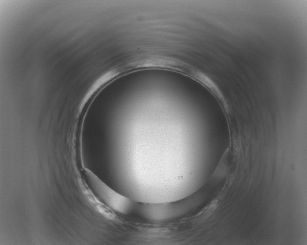 X0000081371138200701182132