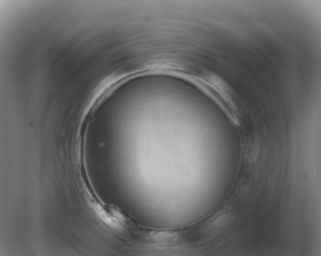 X0000081371140200701182132
