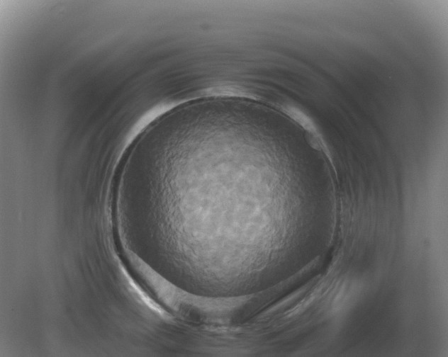 X0000081371141200701182132