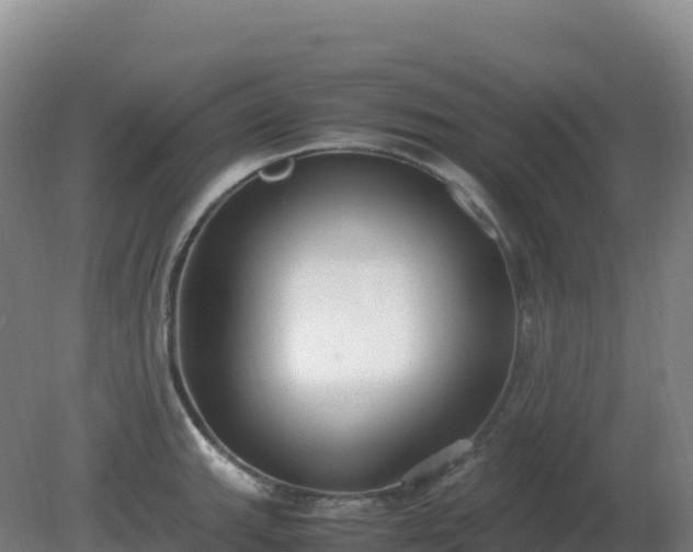 X0000081371143200701182132