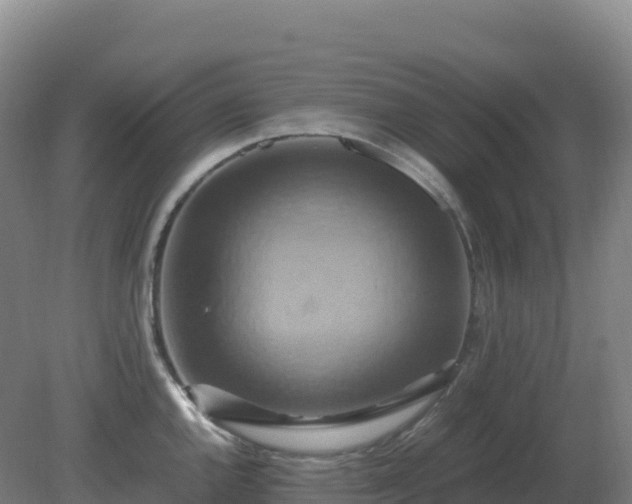 X0000081371144200701182132
