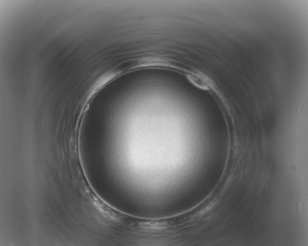 X0000081371145200701182132