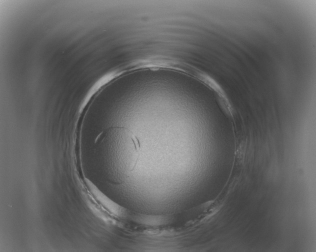 X0000081371146200701182132