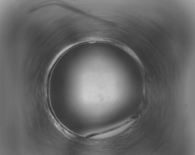 X0000081371148200701182132
