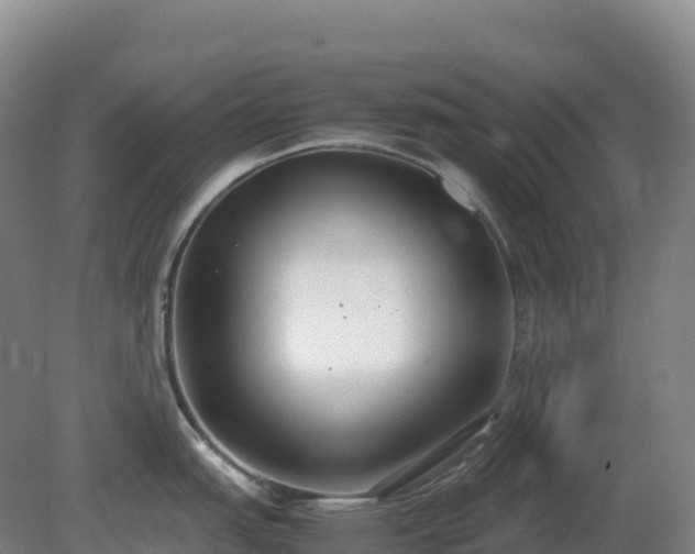X0000081371151200701182132