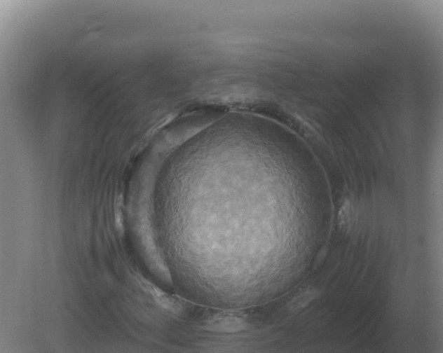X0000081371156200701182131