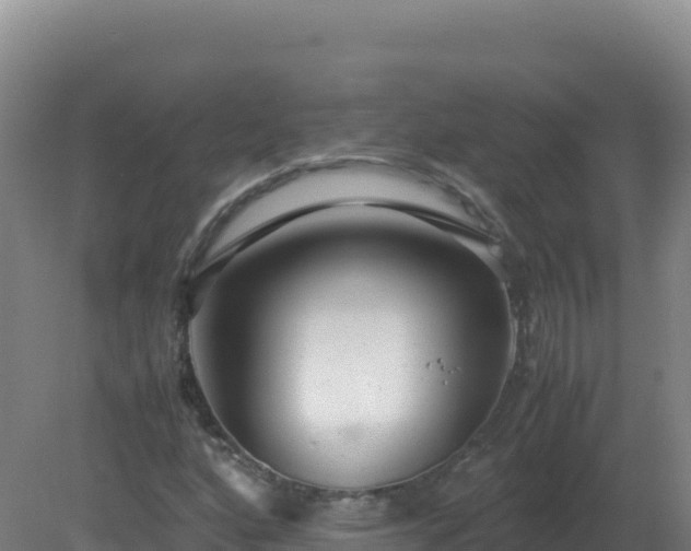 X0000081371160200701182131