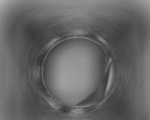 X0000081371161200701182131