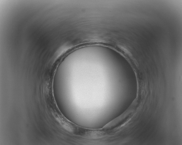 X0000081371163200701182131