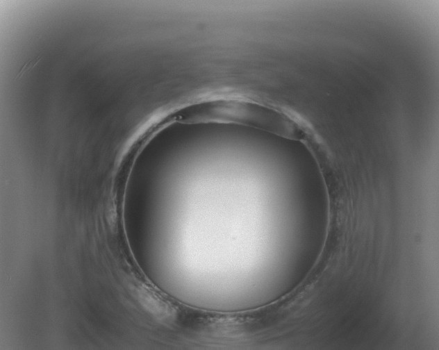 X0000081371167200701182131