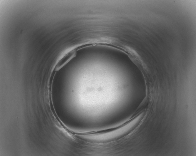 X0000081371184200701182131