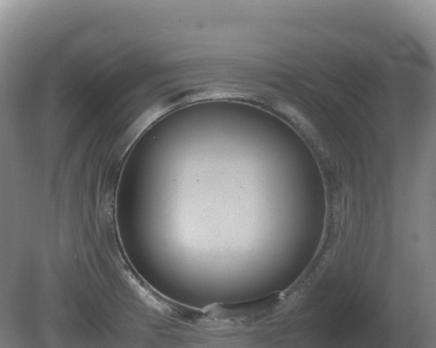 X0000081371185200701182131