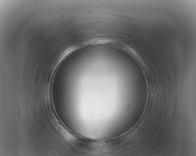 X0000081371186200701182131