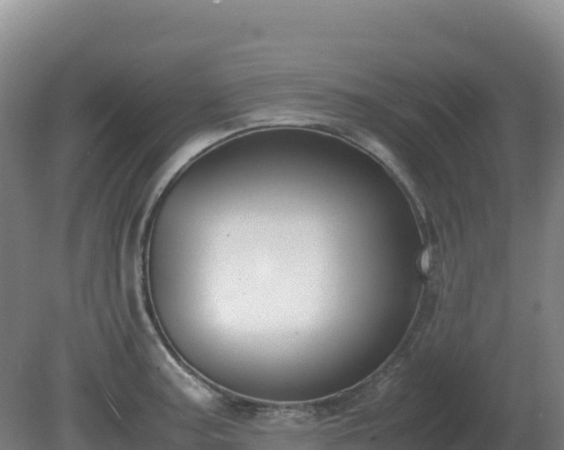 X0000081371187200701182131