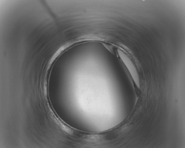 X0000081371188200701182131
