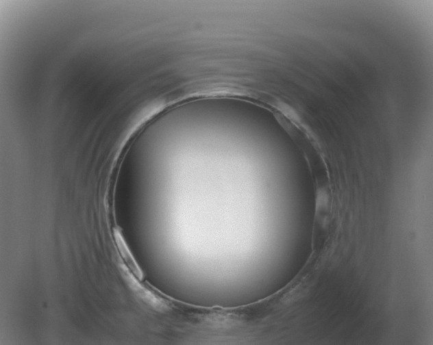 X0000081371189200701182131