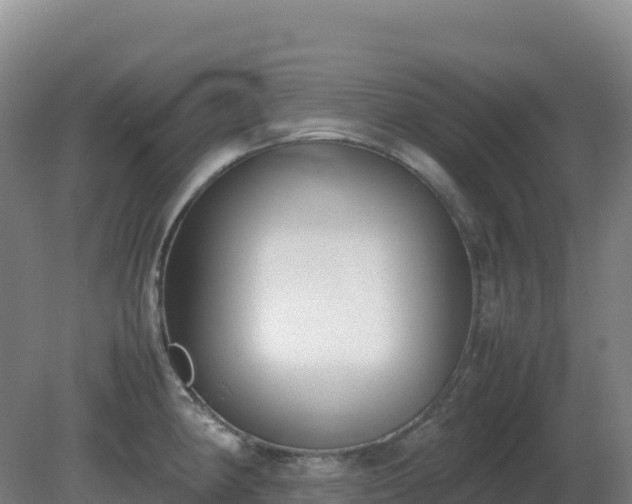 X0000081371190200701182131