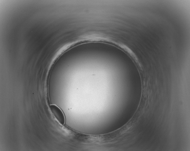 X0000081371191200701182131