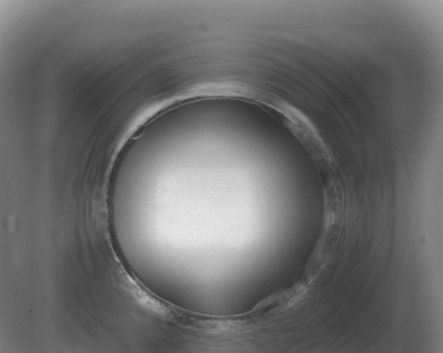 X0000081371192200701182131