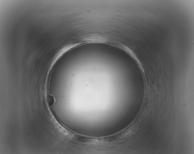 X0000081371195200701182131