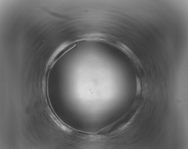 X0000081371196200701182131