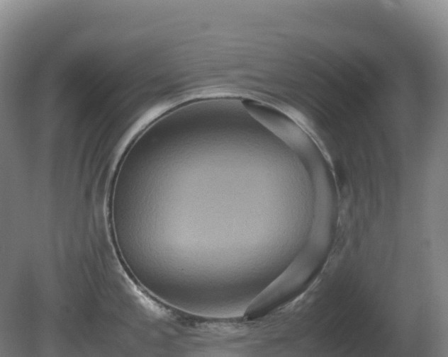 X0000081371197200701182131
