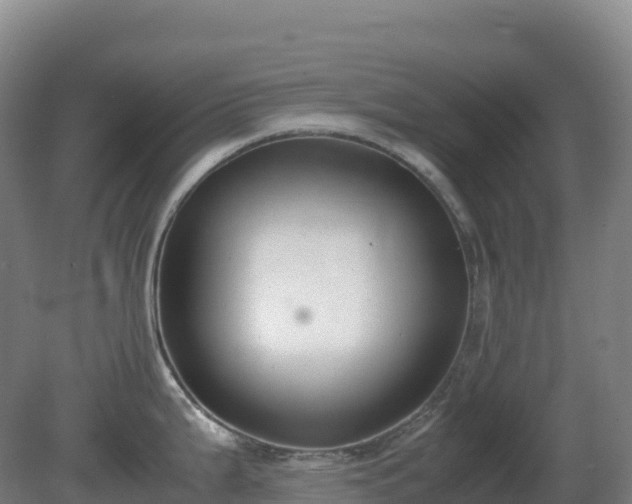 X0000081371199200701182131