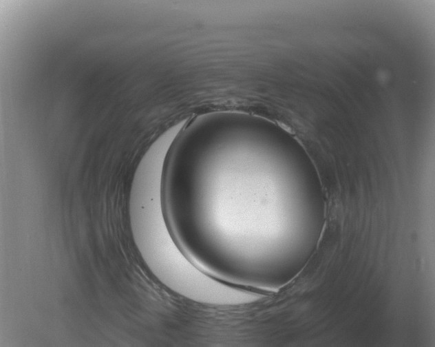 X0000081371202200701182130