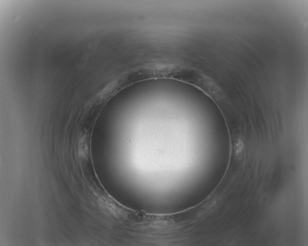 X0000081371204200701182130