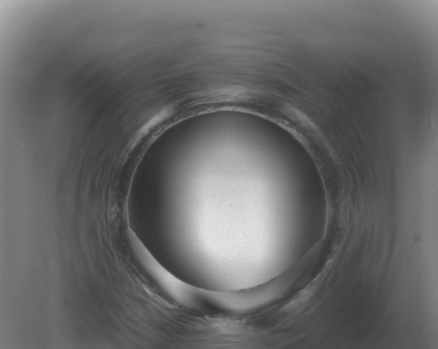 X0000081371210200701182130