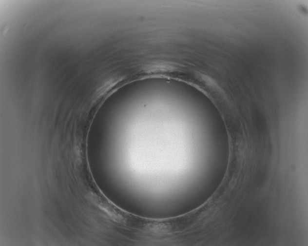 X0000081371217200701182130
