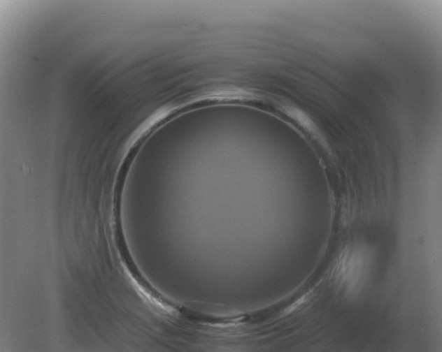 X0000081371229200701182130
