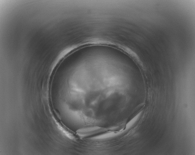 X0000081371231200701182130