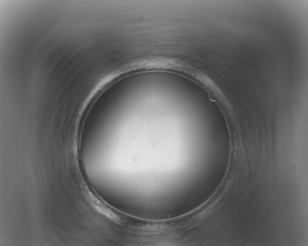 X0000081371232200701182130