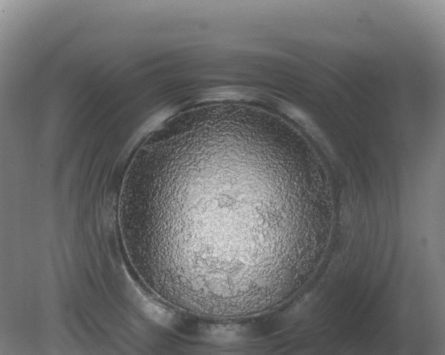X0000081371233200701182130