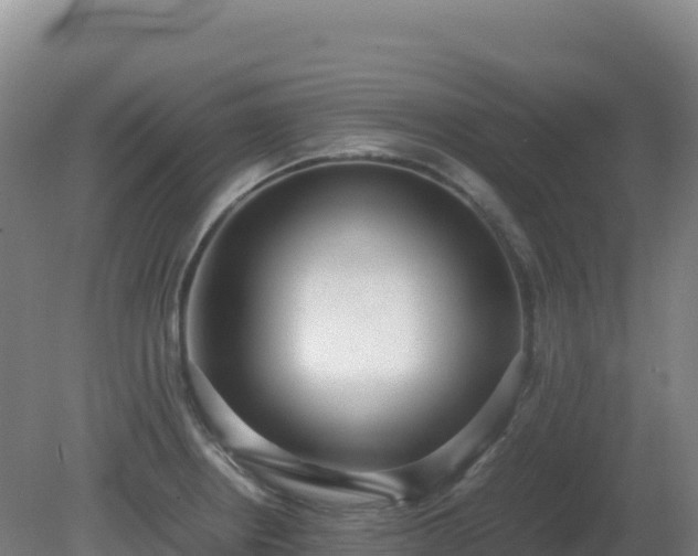 X0000081371234200701182130