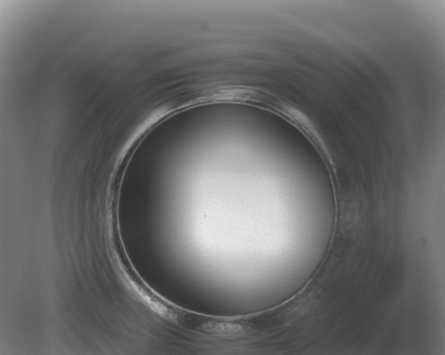 X0000081371235200701182130