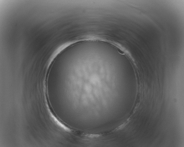 X0000081371239200701182130