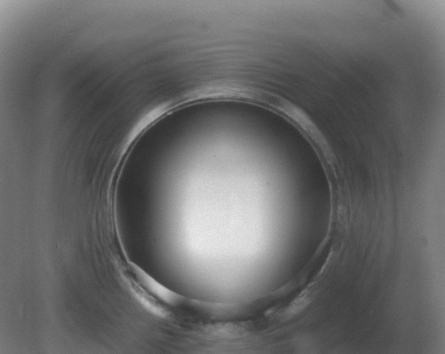 X0000081371242200701182130