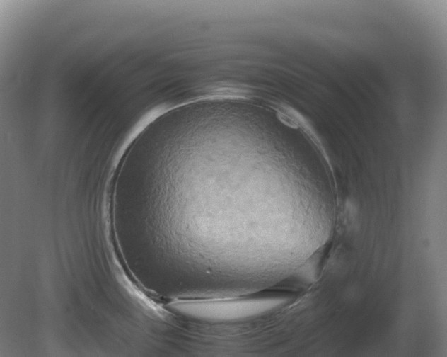 X0000081371243200701182130