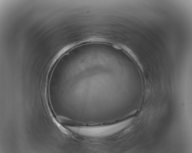 X0000081371245200701182130